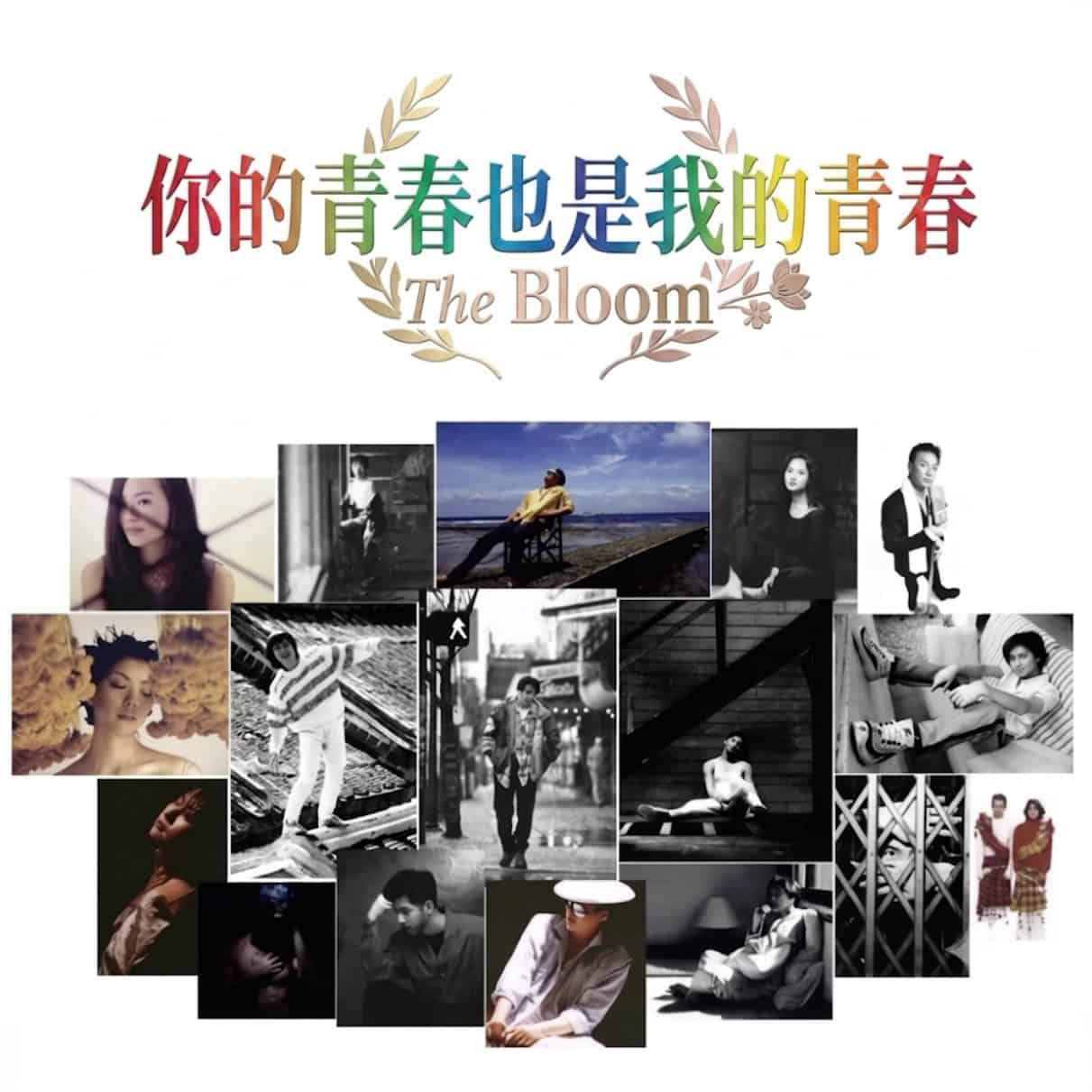 你的青春也是我的青春