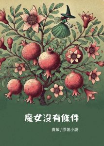 魔女沒有條件小說封面